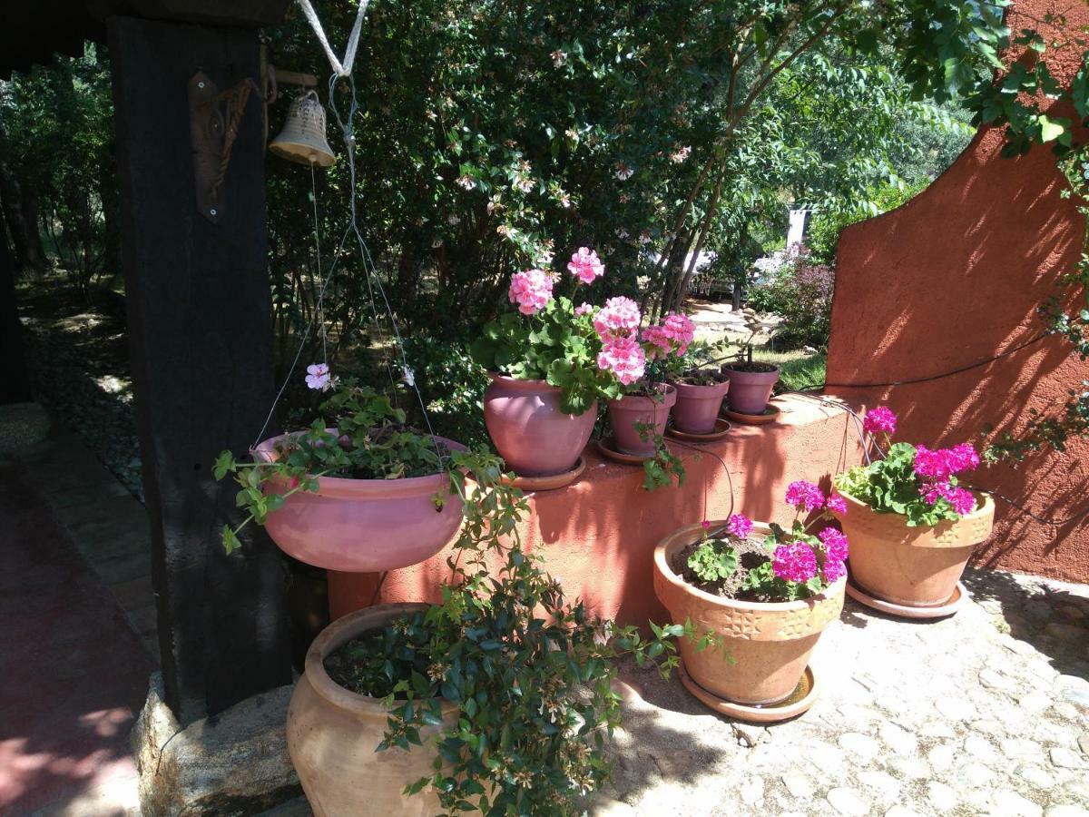 Rural Casa Alfayales 3*