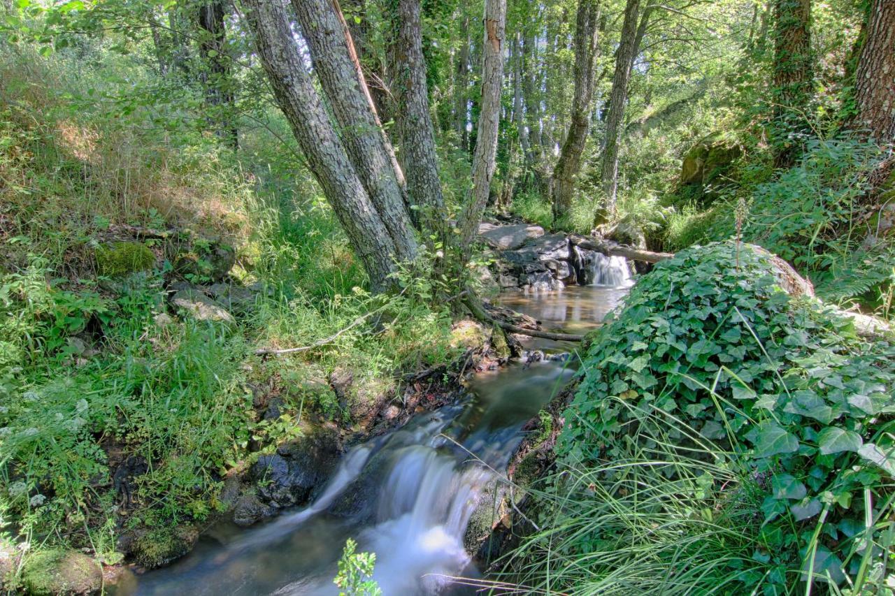 Bed and breakfast Rural Casa Alfayales 3*