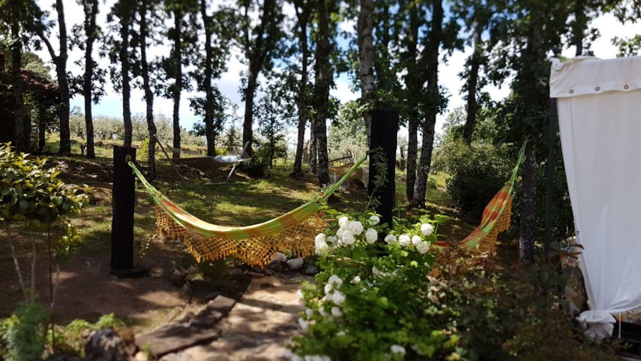 Bed and breakfast Rural Casa Alfayales